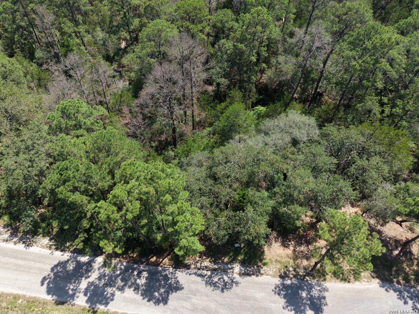 127 & 133 Lamaloa Lane Bastrop TX 78602