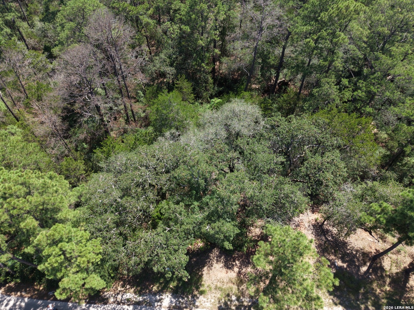 127 & 133 Lamaloa Lane Bastrop TX 78602