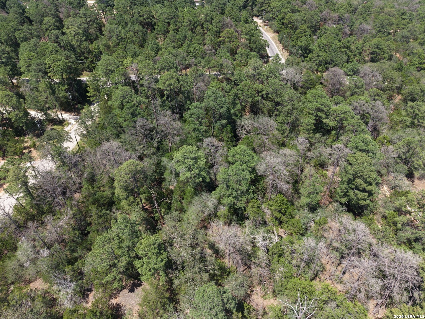 127 & 133 Lamaloa Lane Bastrop TX 78602