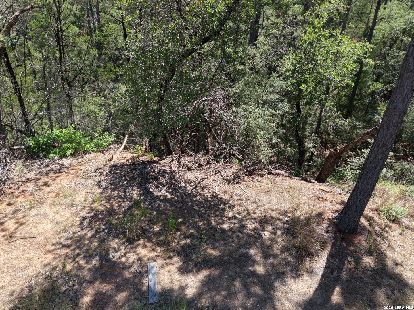 127 & 133 Lamaloa Lane Bastrop TX 78602
