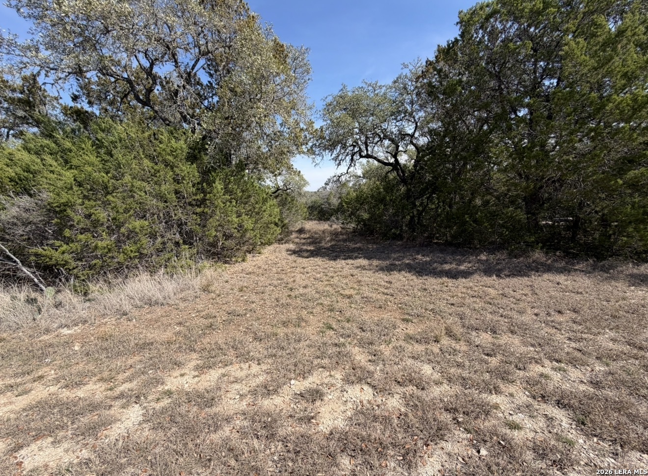 310 Spring Spring Branch TX 78070