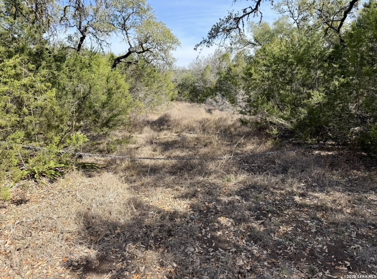 310 Spring Spring Branch TX 78070