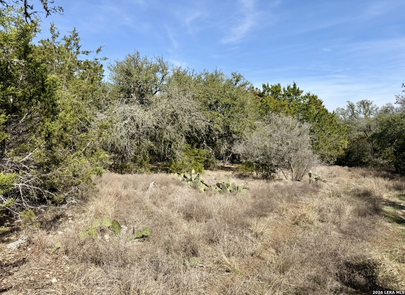 310 Spring Spring Branch TX 78070