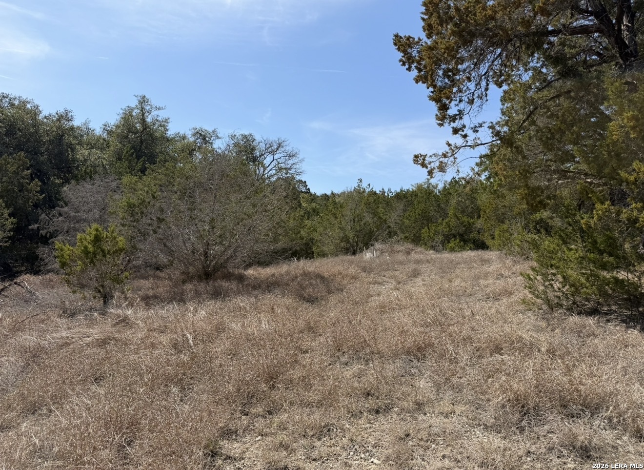 310 Spring Spring Branch TX 78070