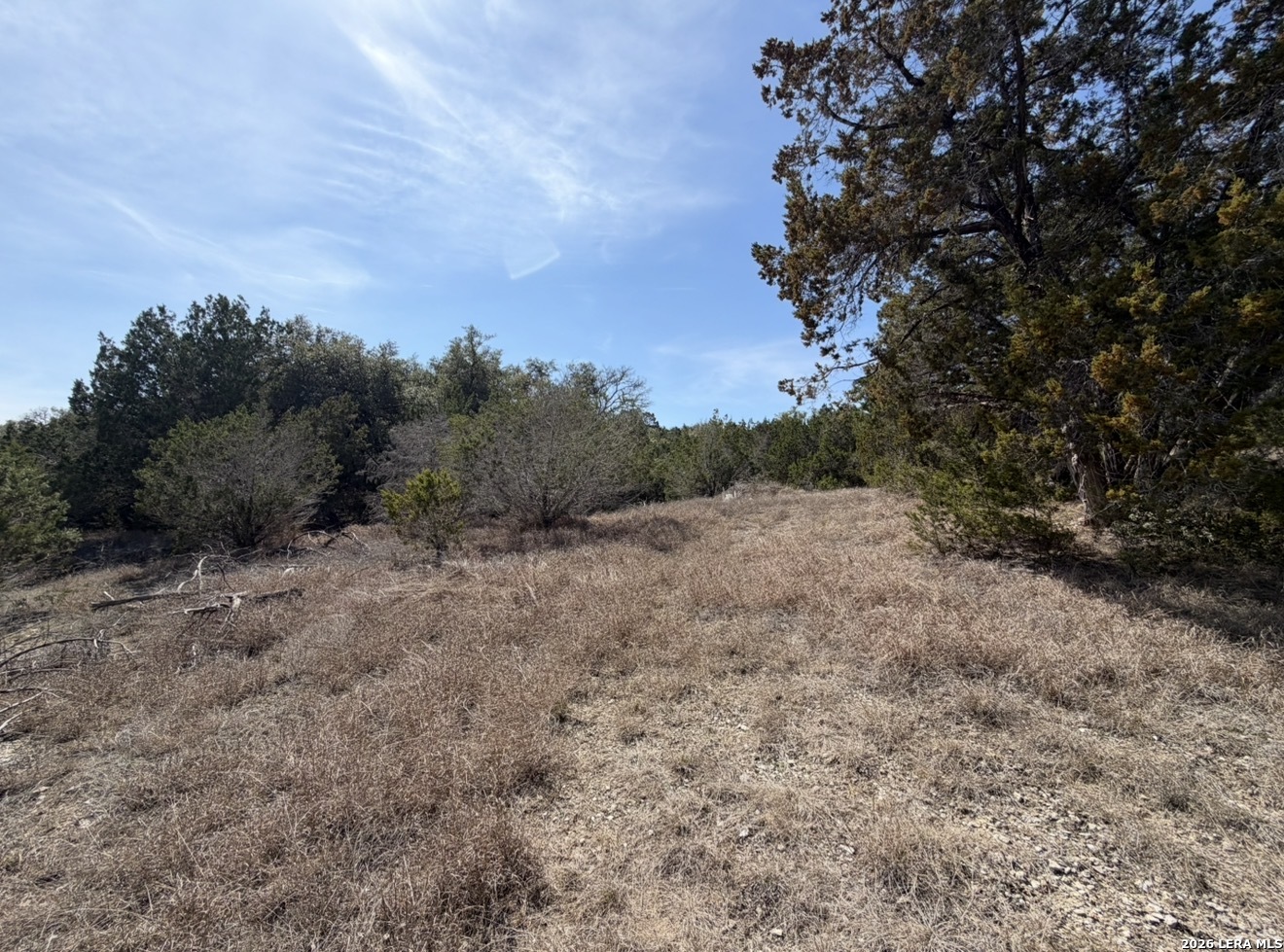 310 Spring Spring Branch TX 78070