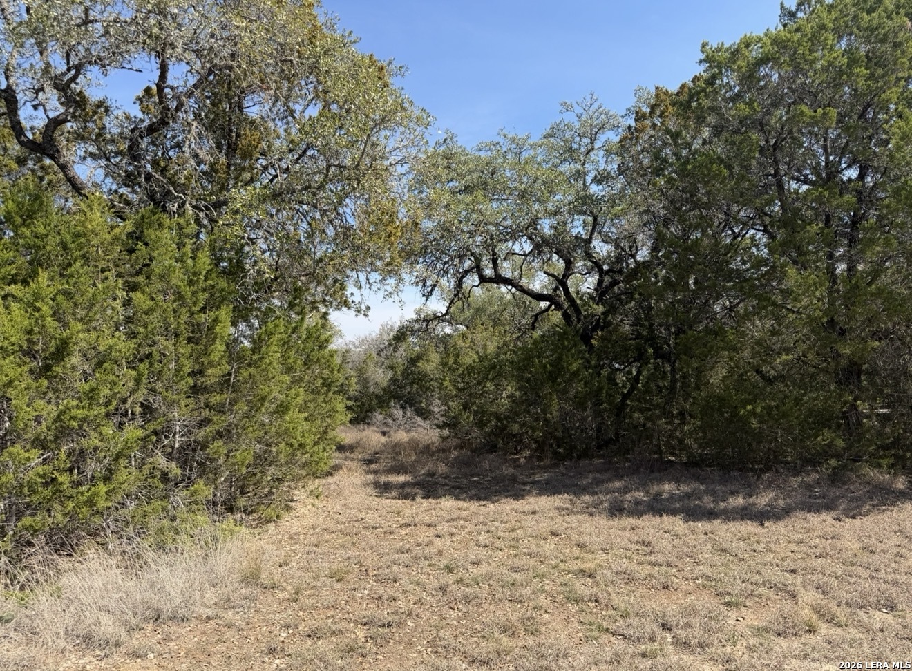 310 Spring Spring Branch TX 78070
