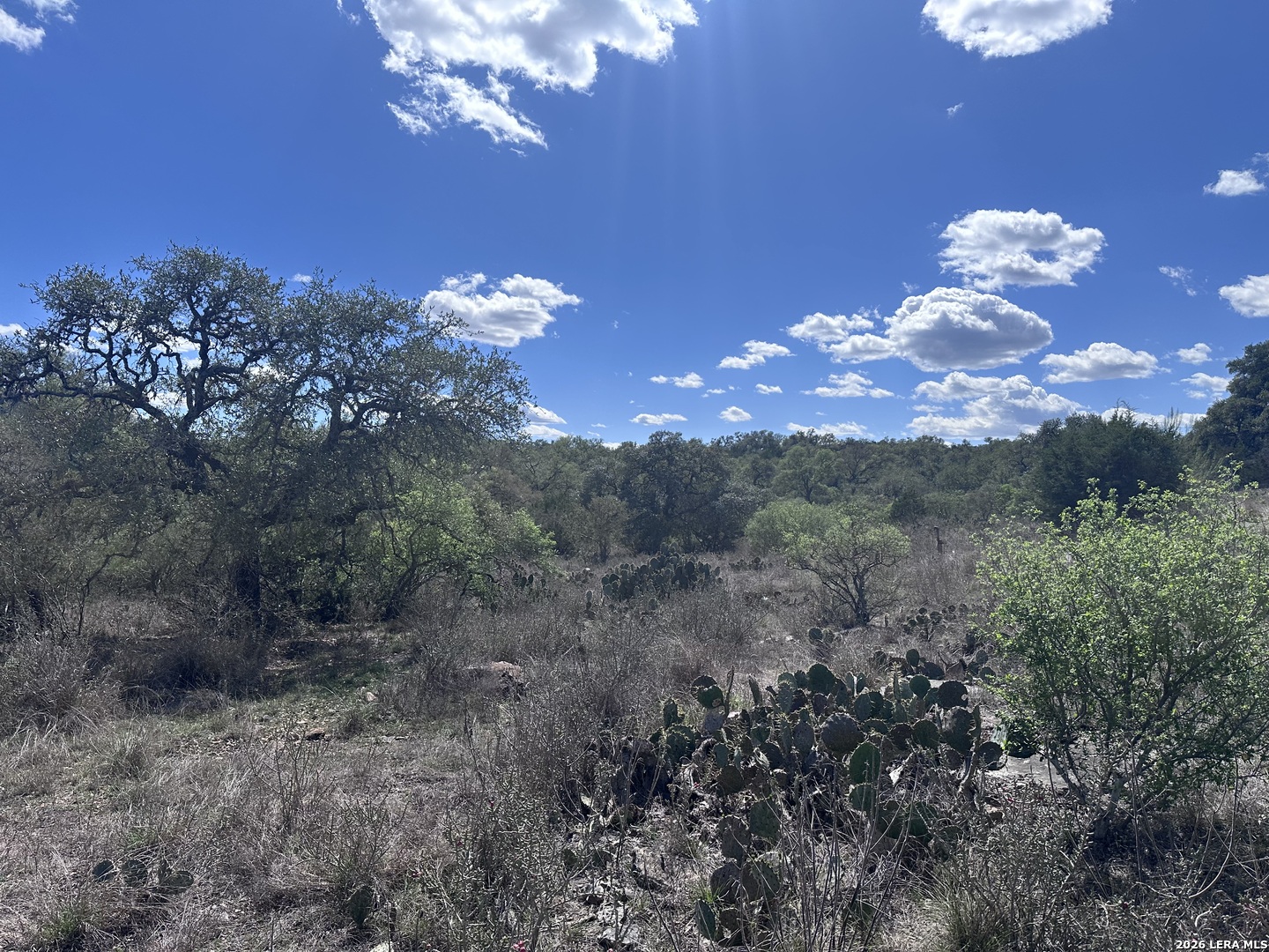 119 Cartama Spring Branch TX 78070