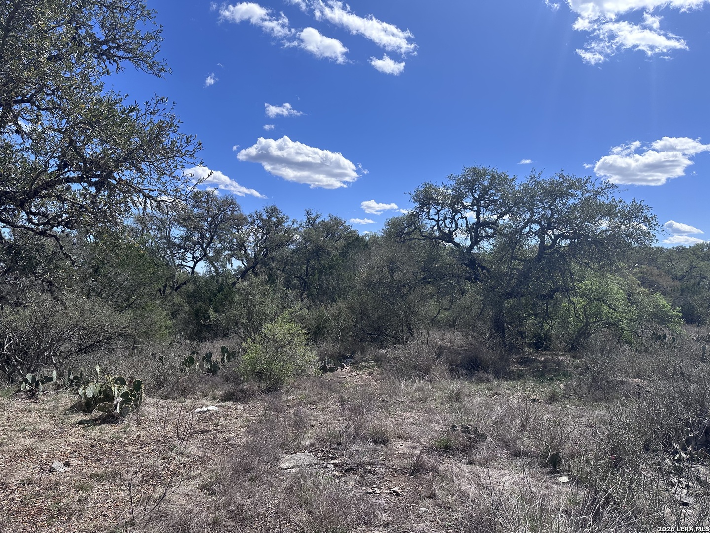 119 Cartama Spring Branch TX 78070