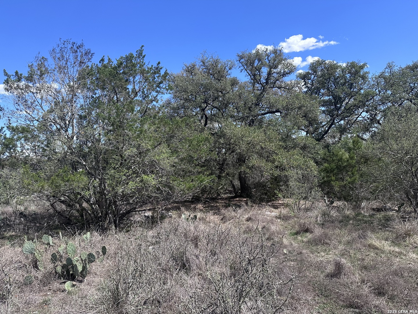 119 Cartama Spring Branch TX 78070