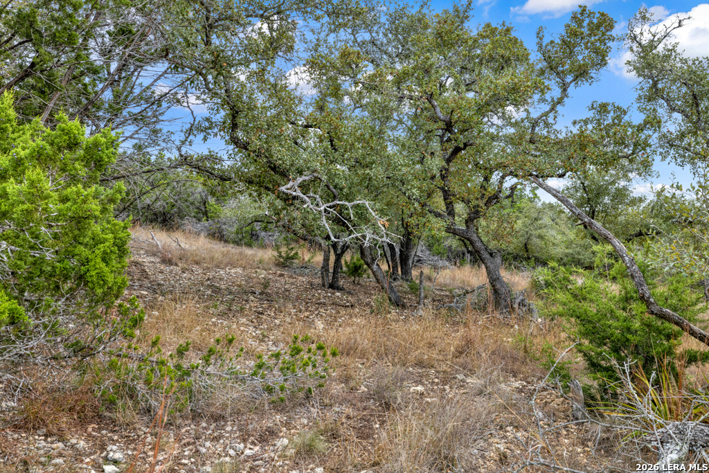 683 Lasso Loop Canyon Lake TX 78133