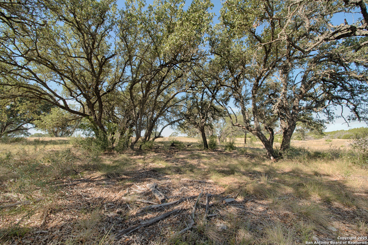 1242 Seven Hills Drive Junction TX 76849