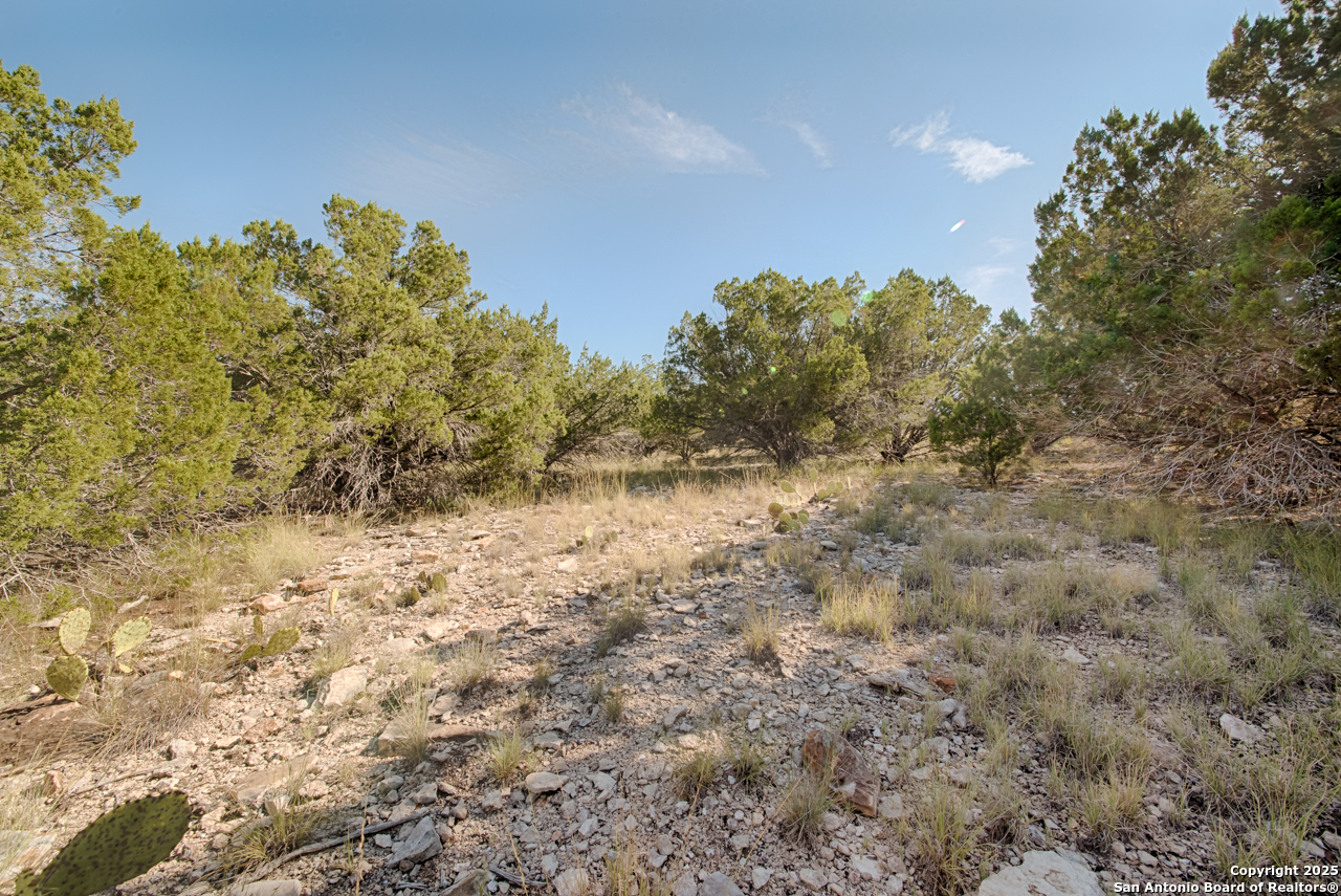 1242 Seven Hills Drive Junction TX 76849