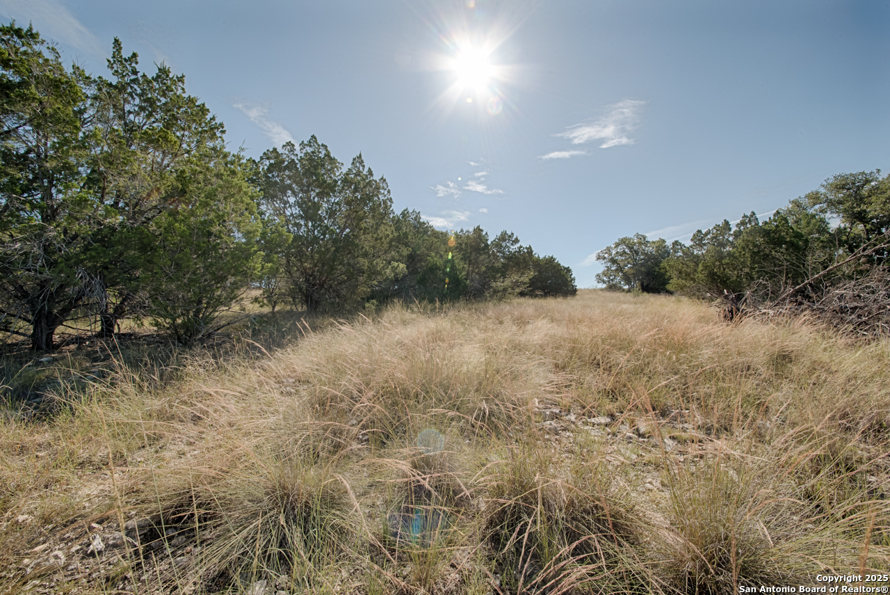 1242 Seven Hills Drive Junction TX 76849