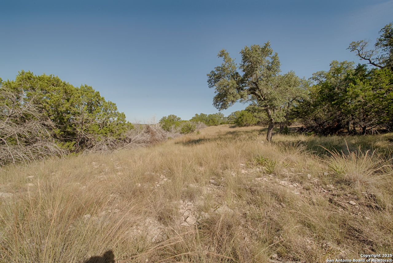1242 Seven Hills Drive Junction TX 76849