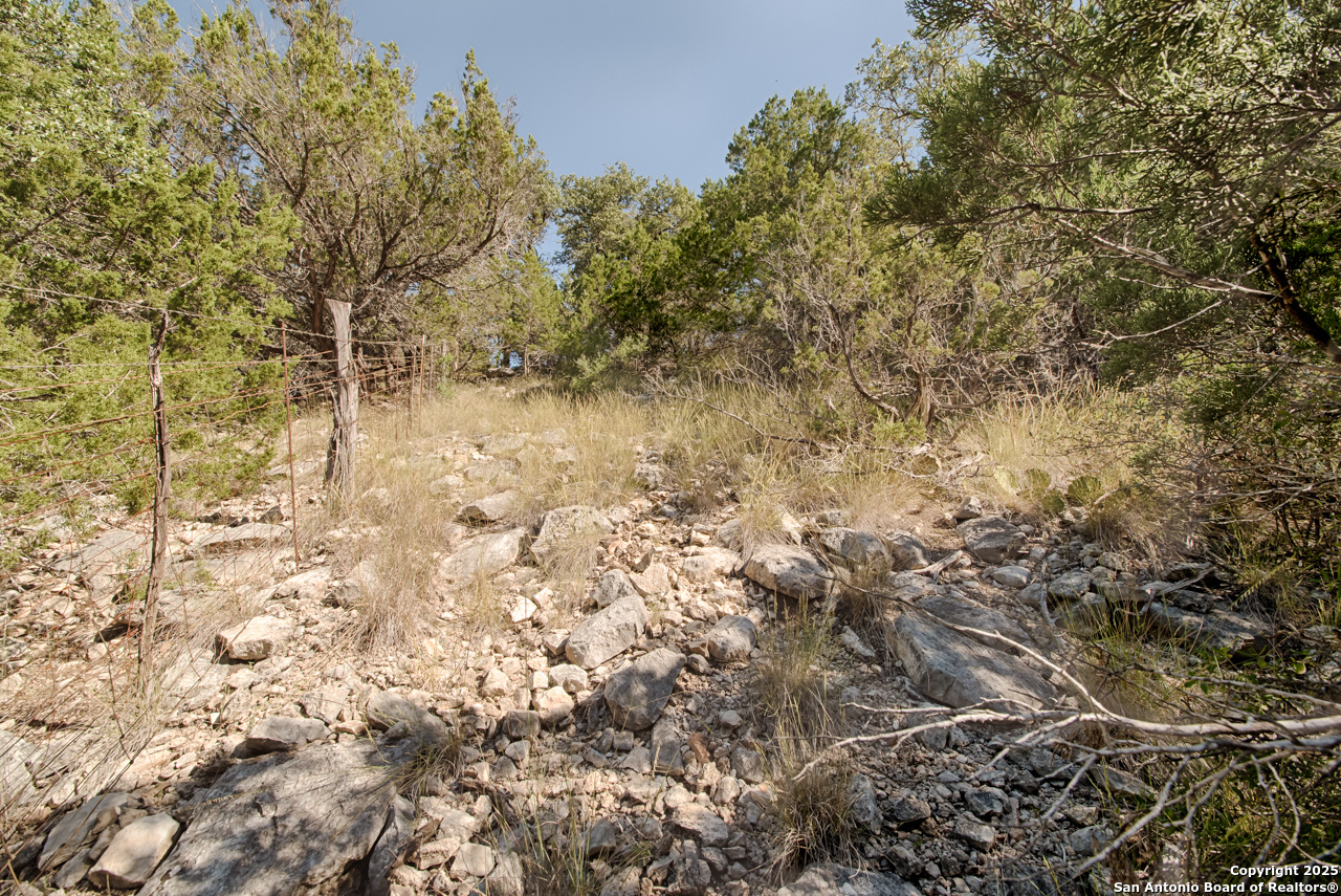 1242 Seven Hills Drive Junction TX 76849