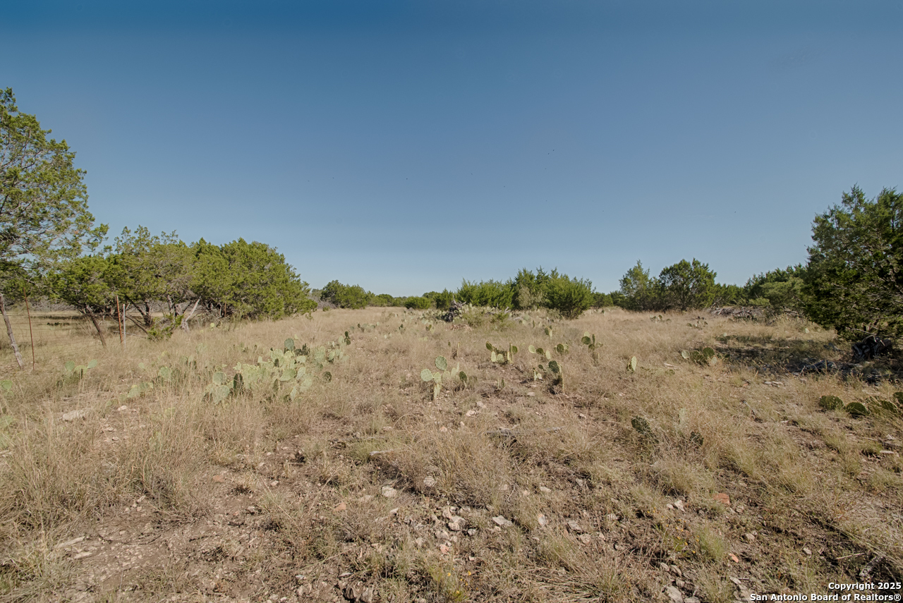 1242 Seven Hills Drive Junction TX 76849