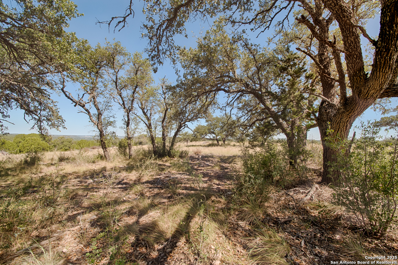 1242 Seven Hills Drive Junction TX 76849