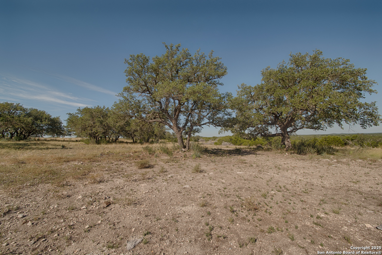 1242 Seven Hills Drive Junction TX 76849