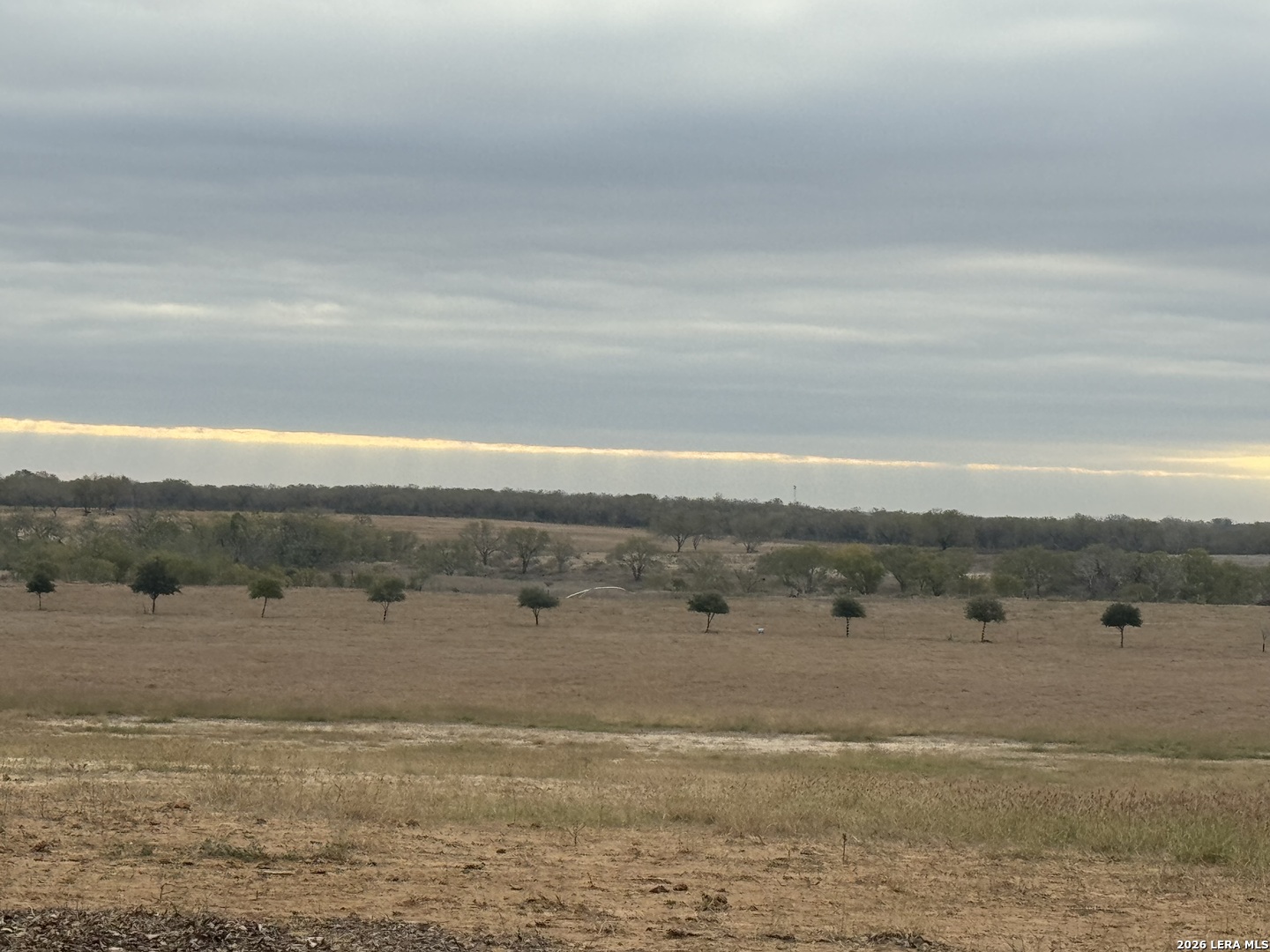C.r 220 County Road 220 Floresville TX 78114