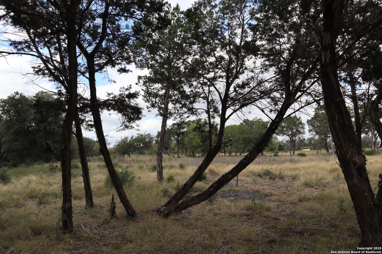 0 English Pipe Creek TX 78063