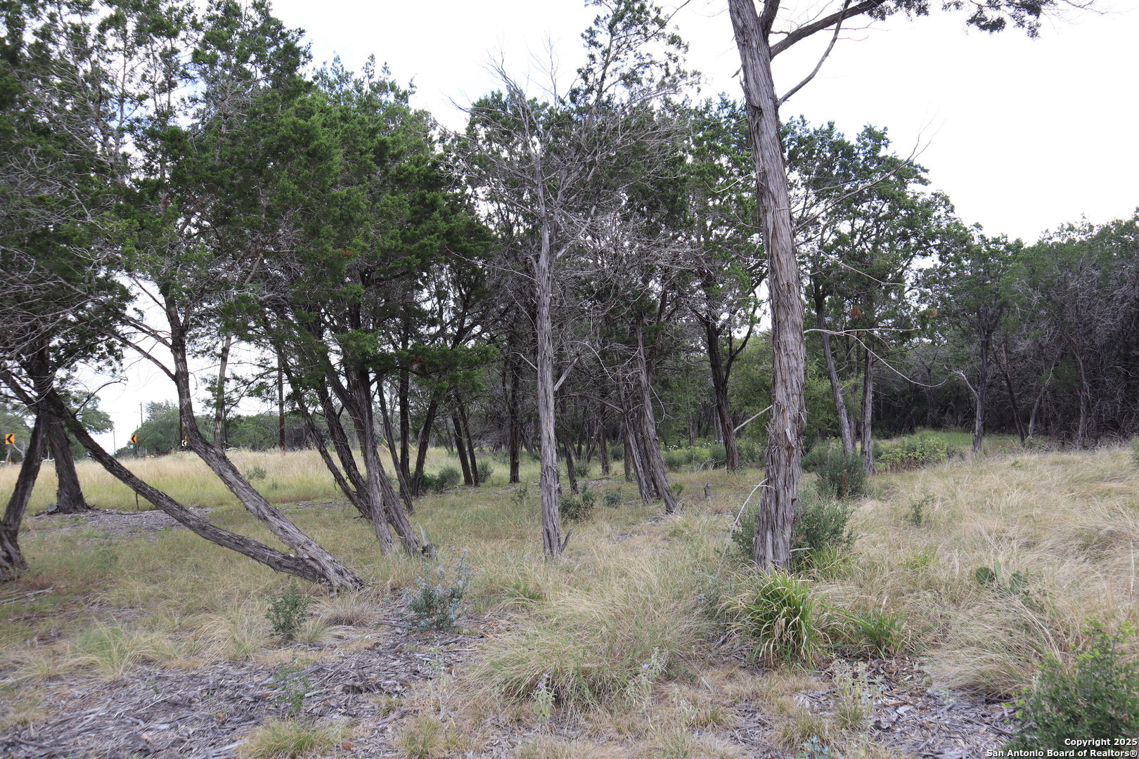 0 English Pipe Creek TX 78063
