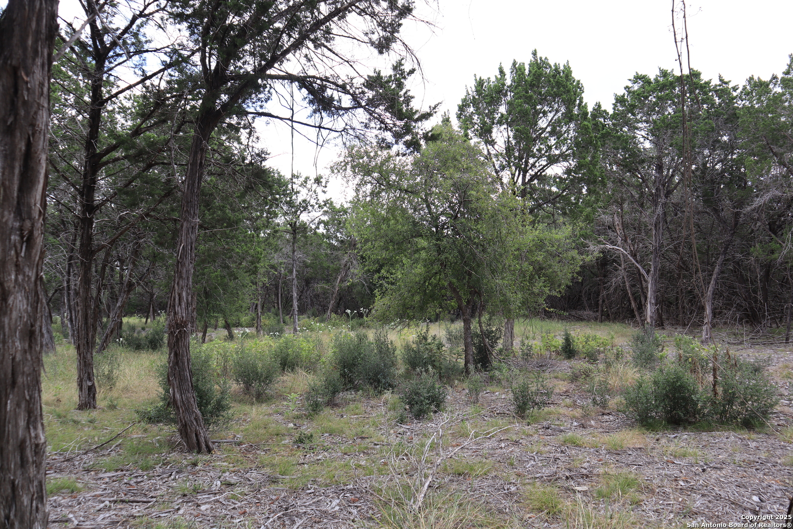 0 English Pipe Creek TX 78063