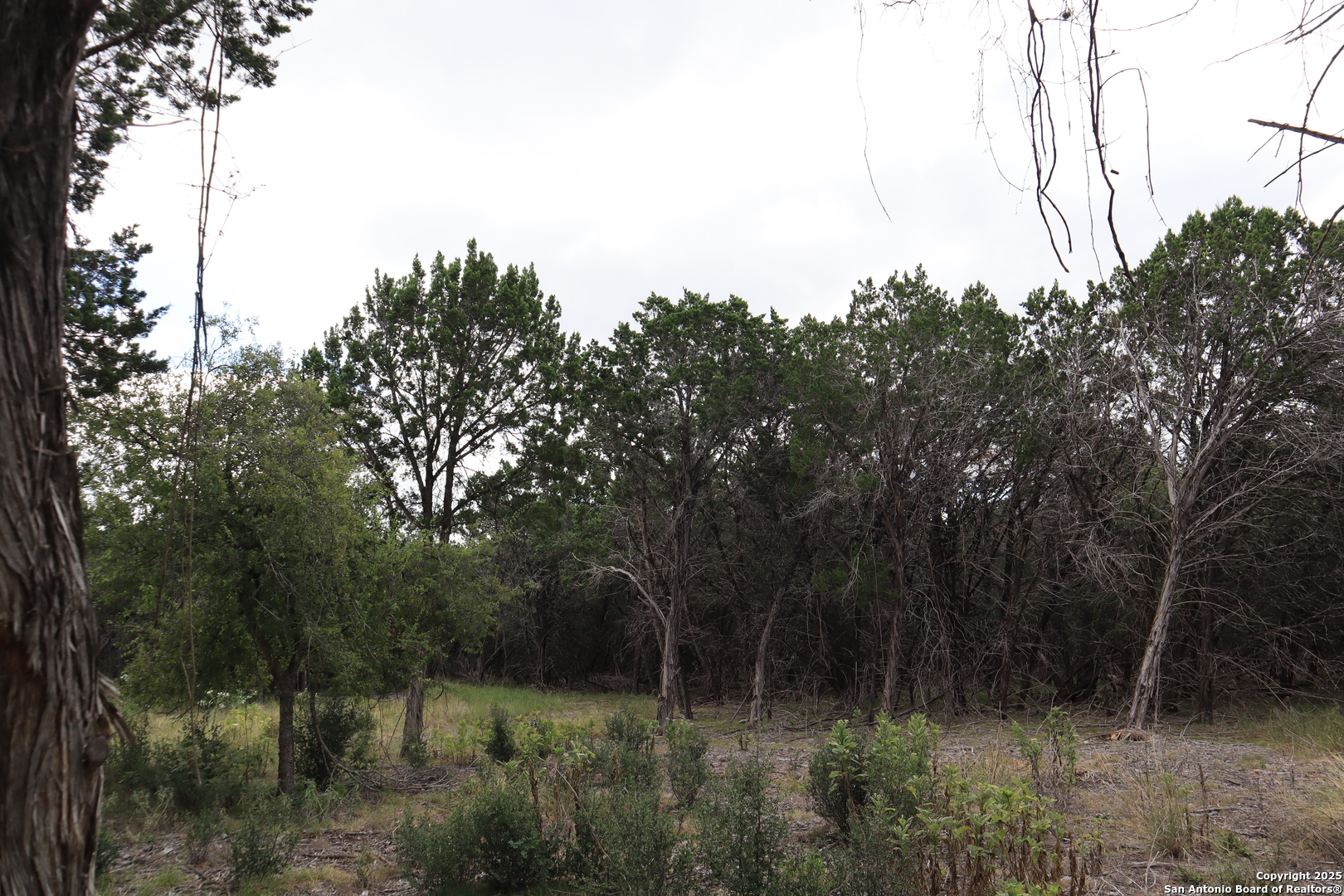 0 English Pipe Creek TX 78063