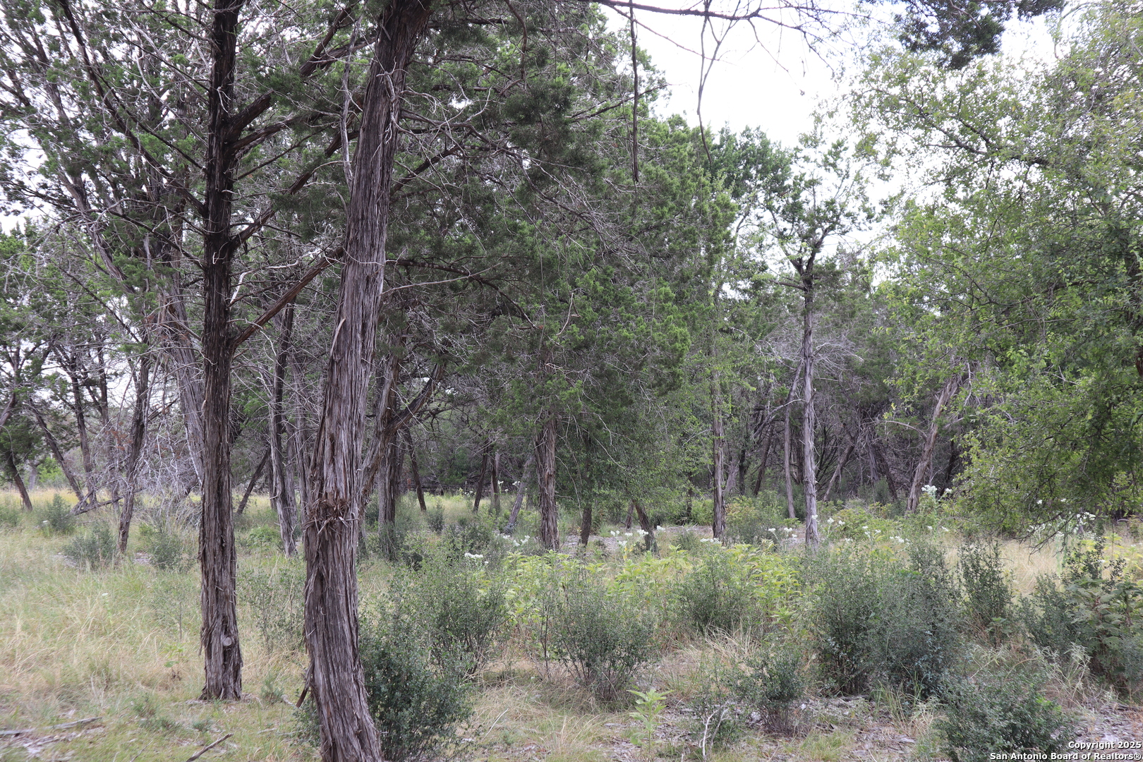 0 English Pipe Creek TX 78063