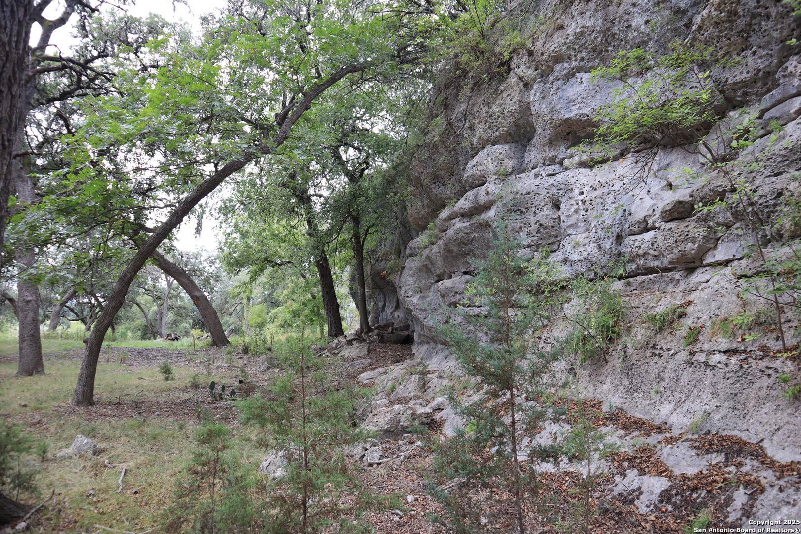 0 English Pipe Creek TX 78063