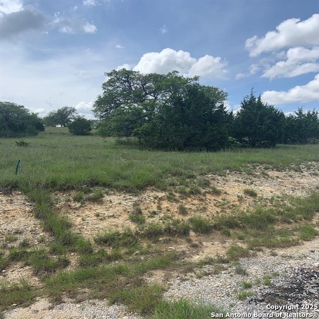 102 William Tobin Blanco TX 78606