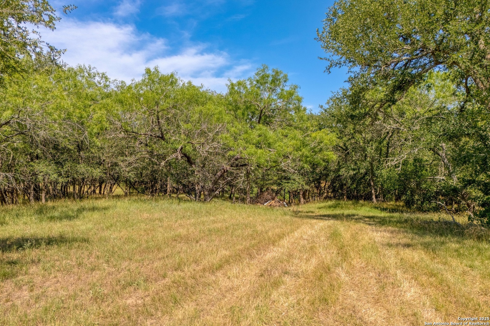 0 Fm 812 Cedar Creek TX 78612