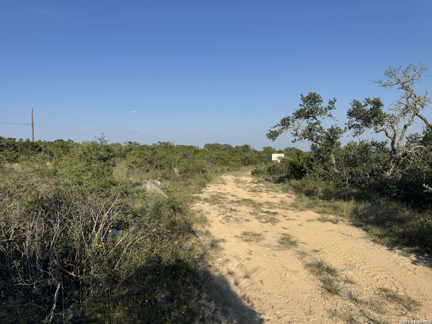 1423 County Road 2744 Mico TX 78056