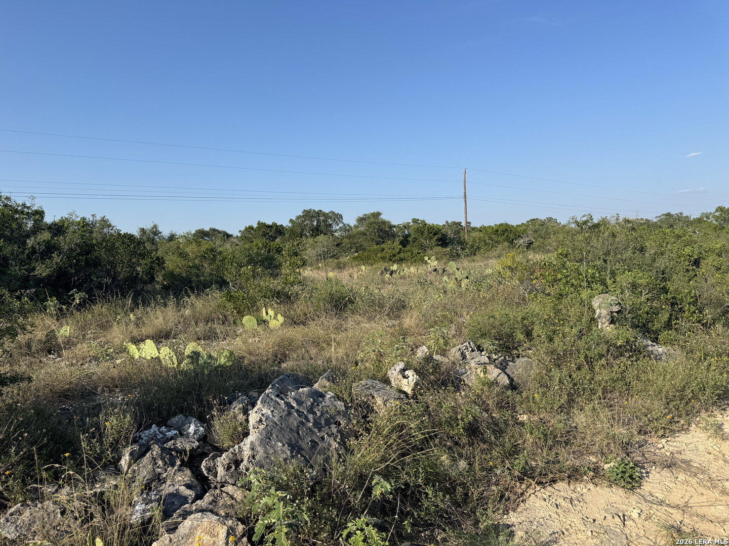 1423 County Road 2744 Mico TX 78056