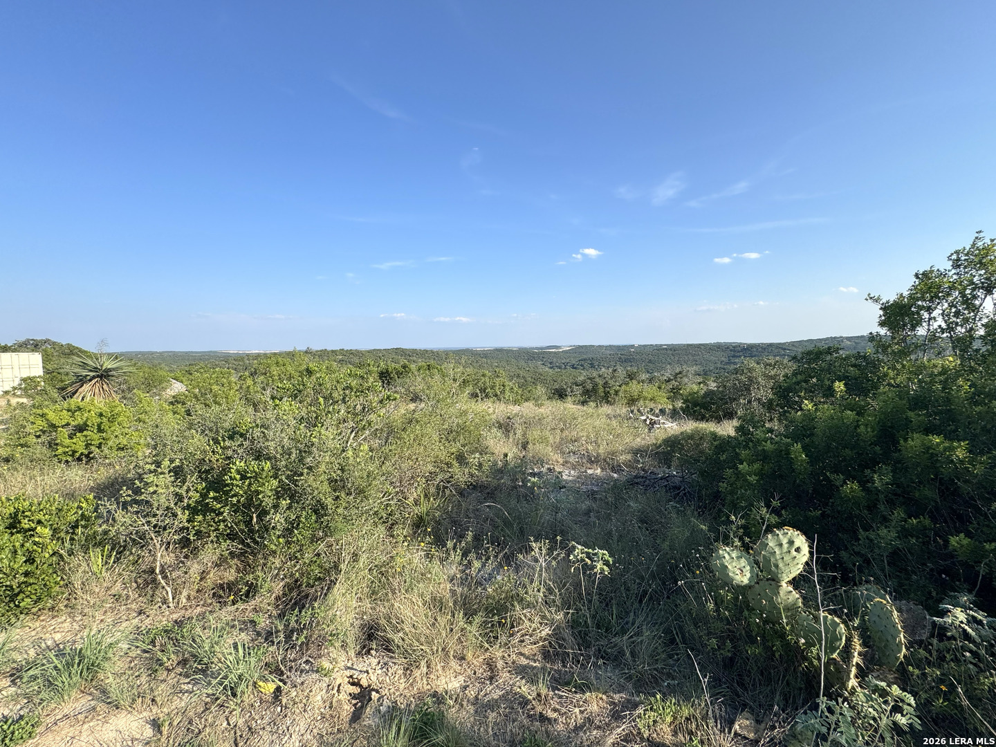 1423 County Road 2744 Mico TX 78056
