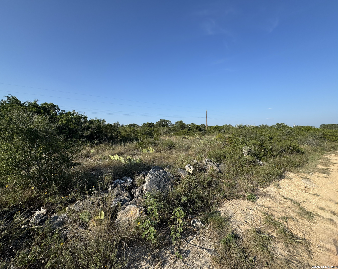1423 County Road 2744 Mico TX 78056
