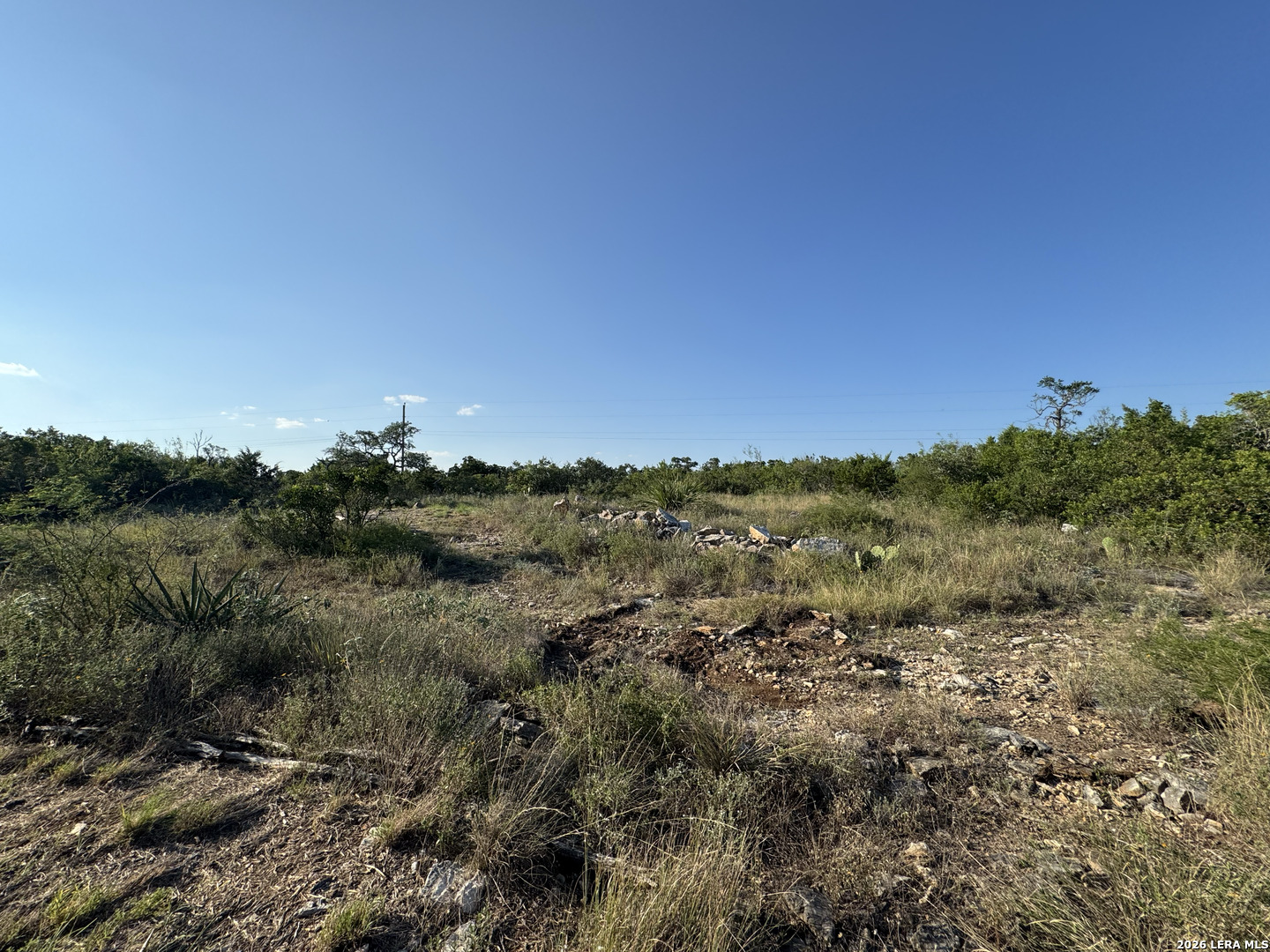 1423 County Road 2744 Mico TX 78056