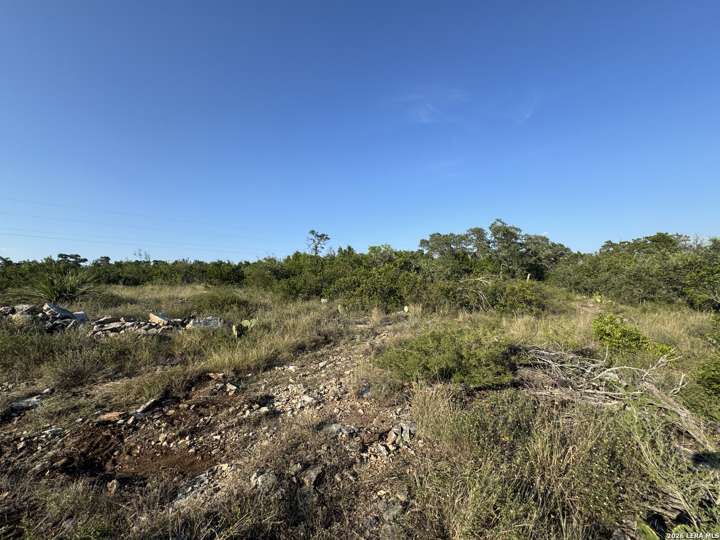 1423 County Road 2744 Mico TX 78056