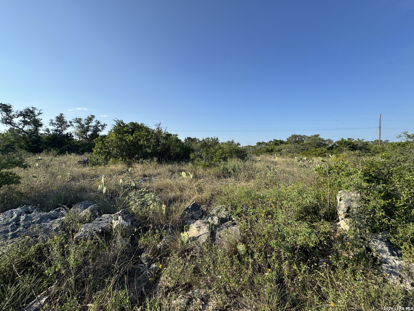 1423 County Road 2744 Mico TX 78056