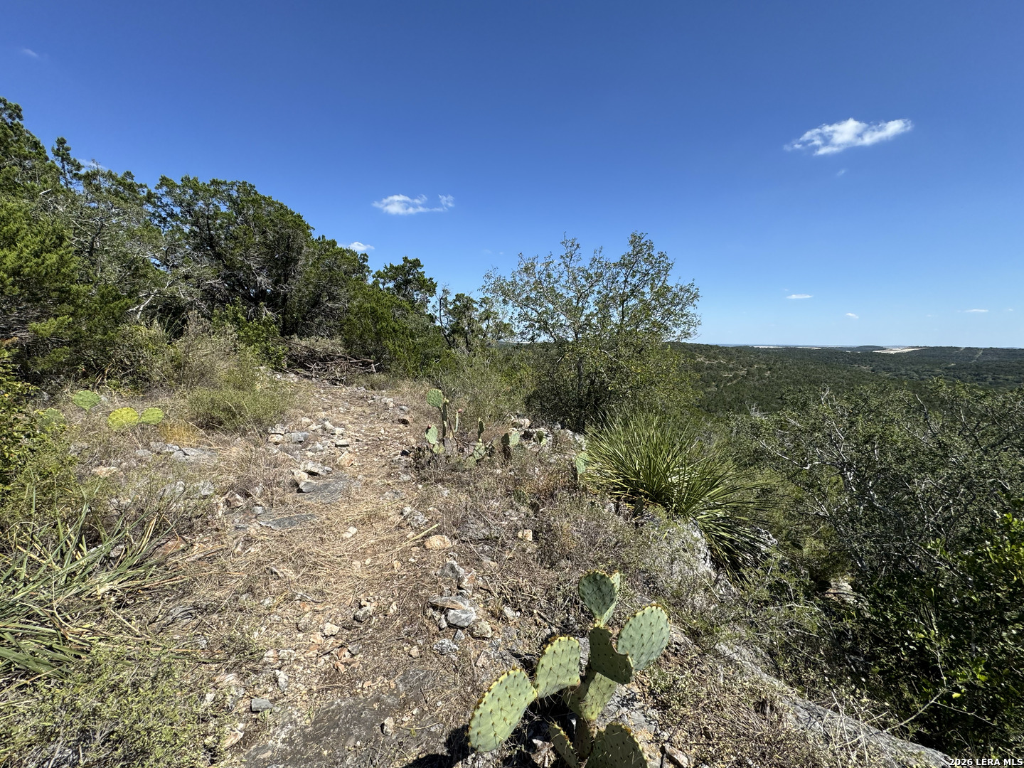 1423 County Road 2744 Mico TX 78056
