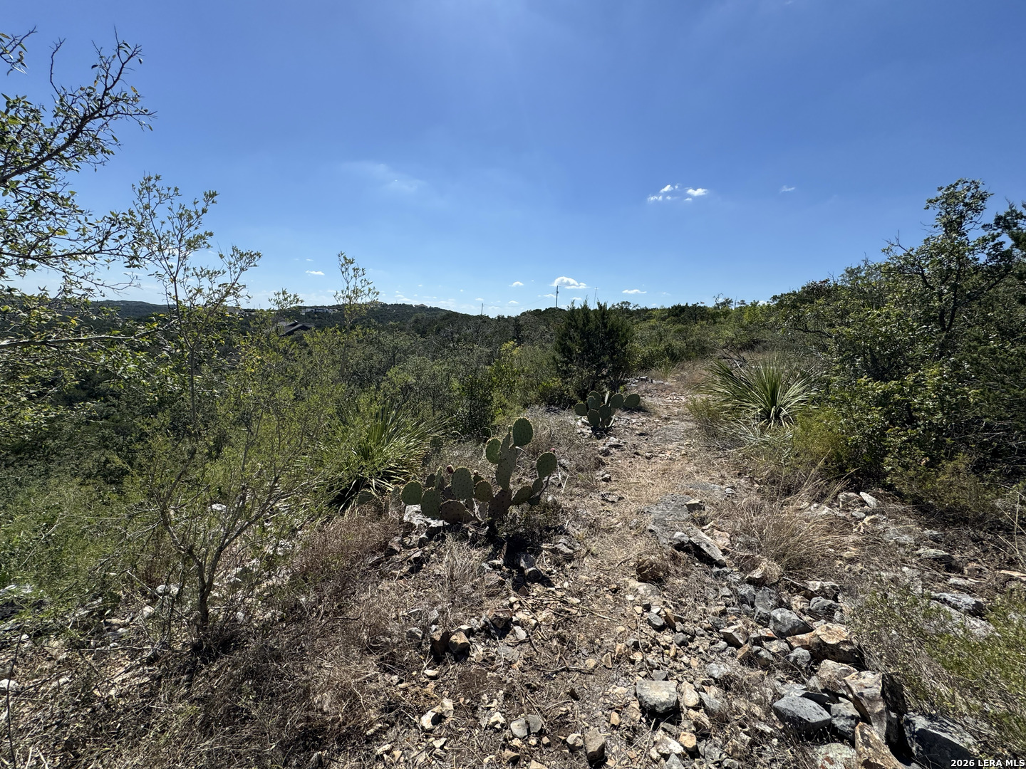 1423 County Road 2744 Mico TX 78056