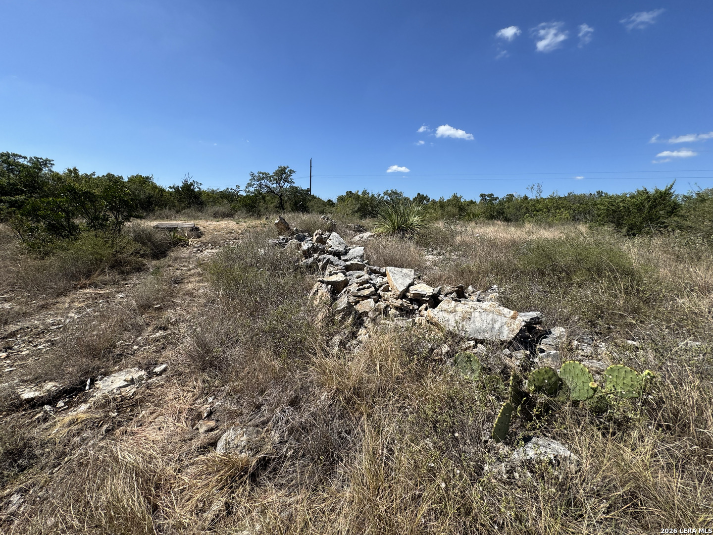 1423 County Road 2744 Mico TX 78056
