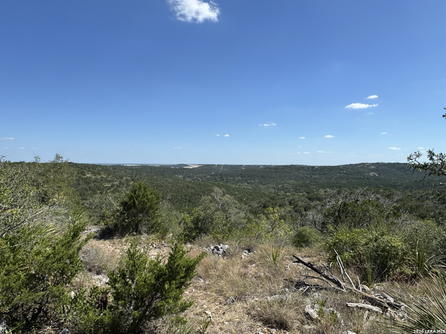 1423 County Road 2744 Mico TX 78056