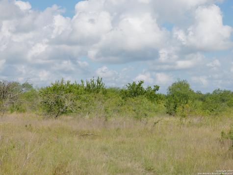 Tract 5 County Road 208 Hobson TX 78117