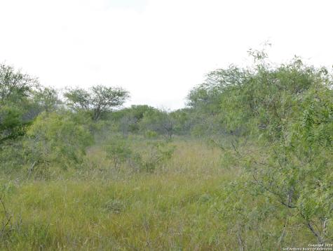 Tract 5 County Road 208 Hobson TX 78117