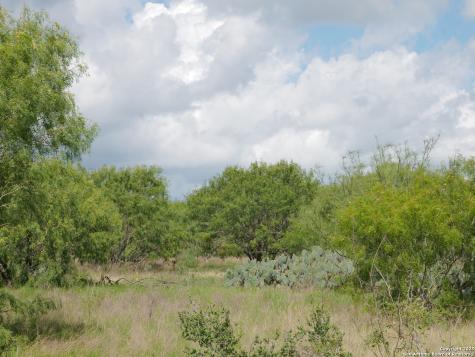 Tract 5 County Road 208 Hobson TX 78117