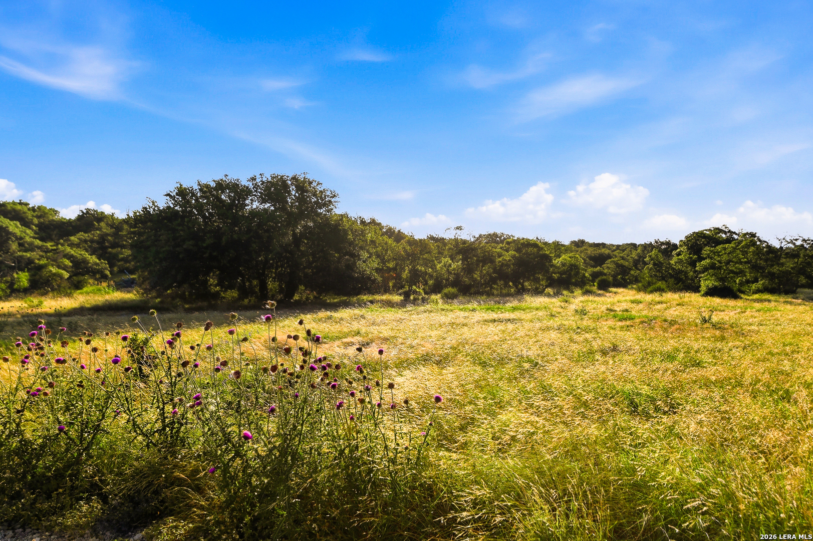 189 Taurus Lane Junction TX 76849
