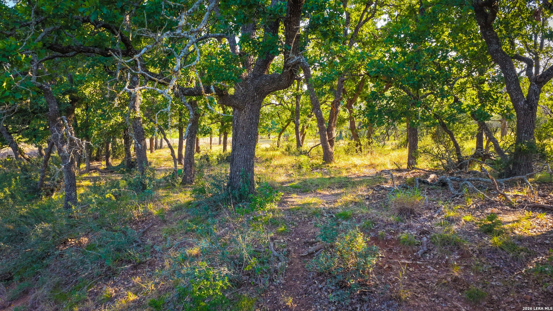 331 Suniland Fredericksburg TX 78624
