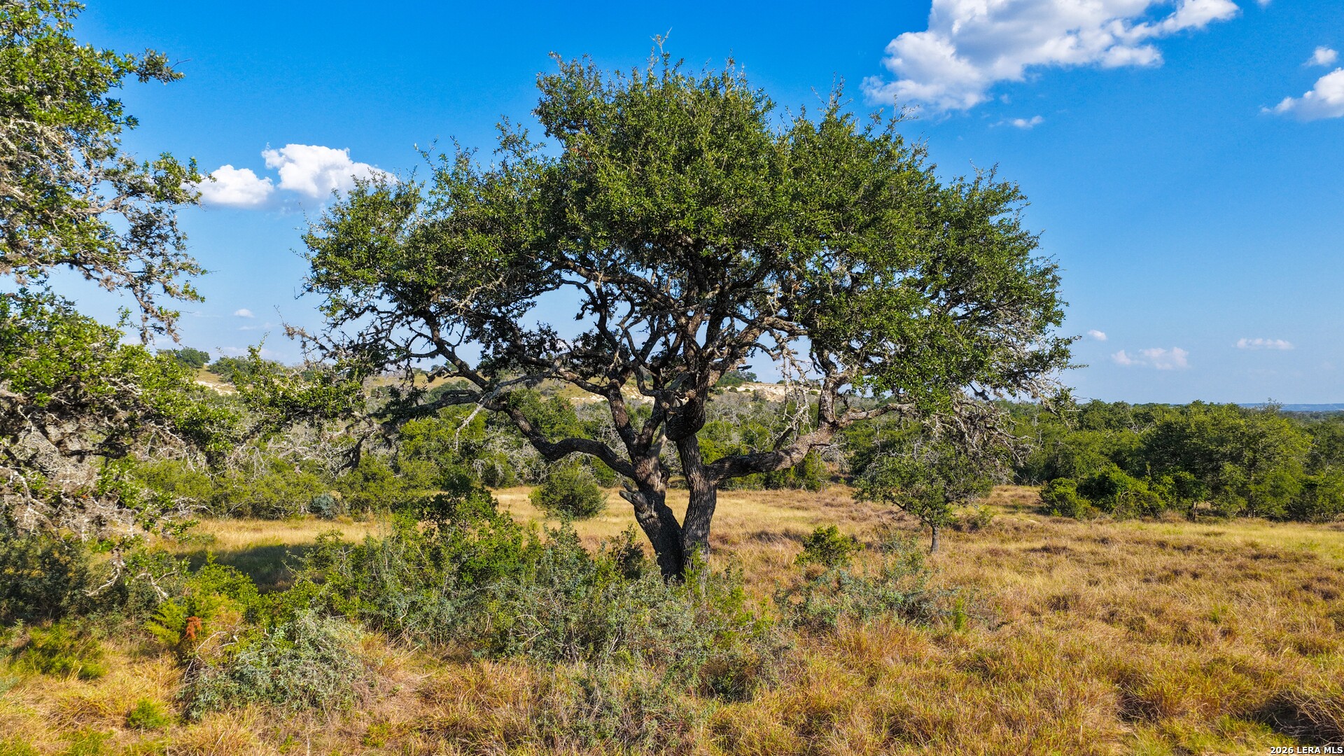 331 Suniland Fredericksburg TX 78624