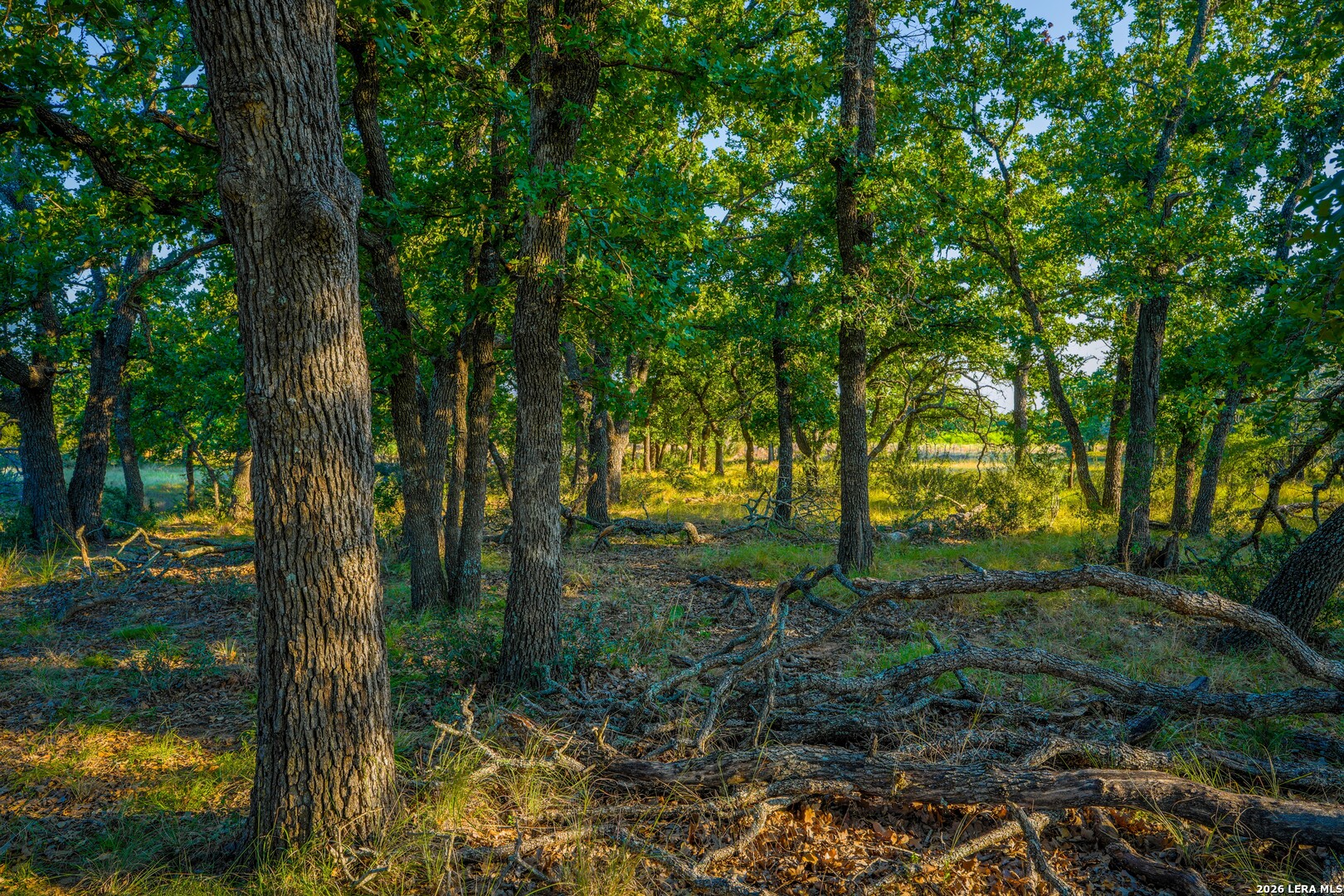 331 Suniland Fredericksburg TX 78624