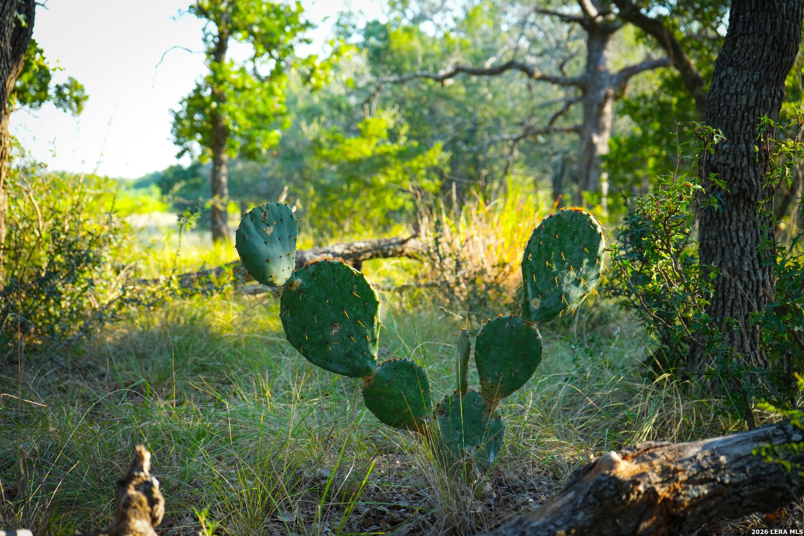 331 Suniland Fredericksburg TX 78624